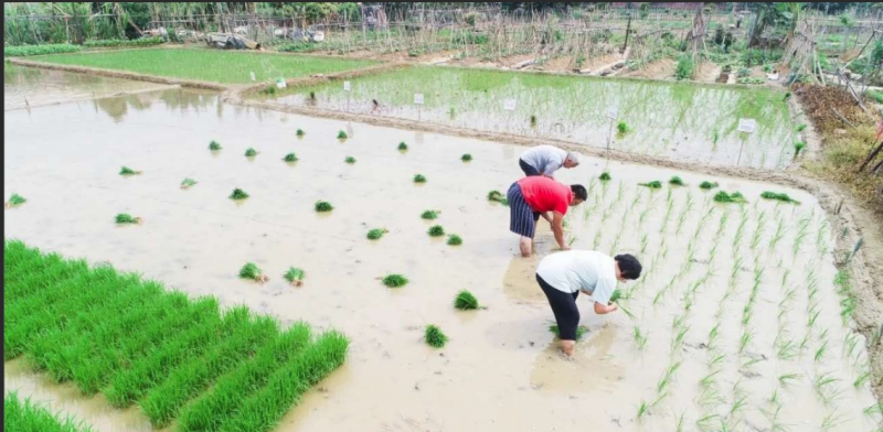 大大的发明，童年回忆_知识产权零距离网（IP0.cn）