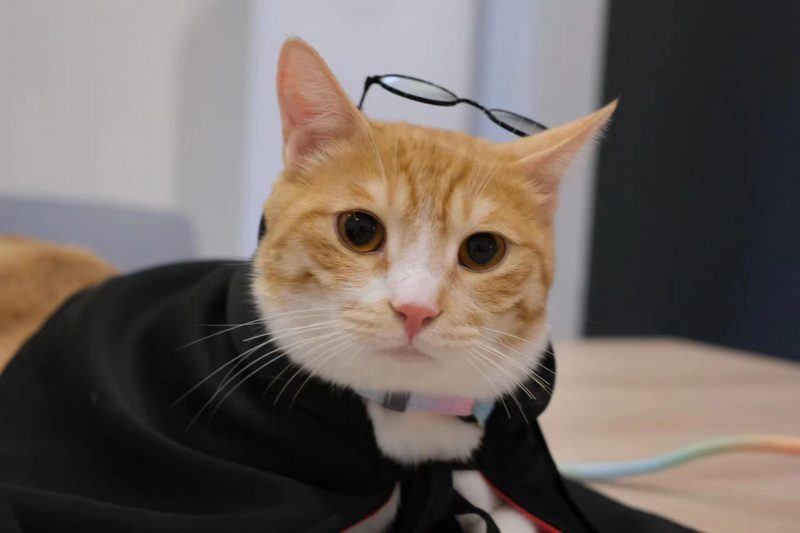 涉外专利_知识产权零距离网（IP0.cn）