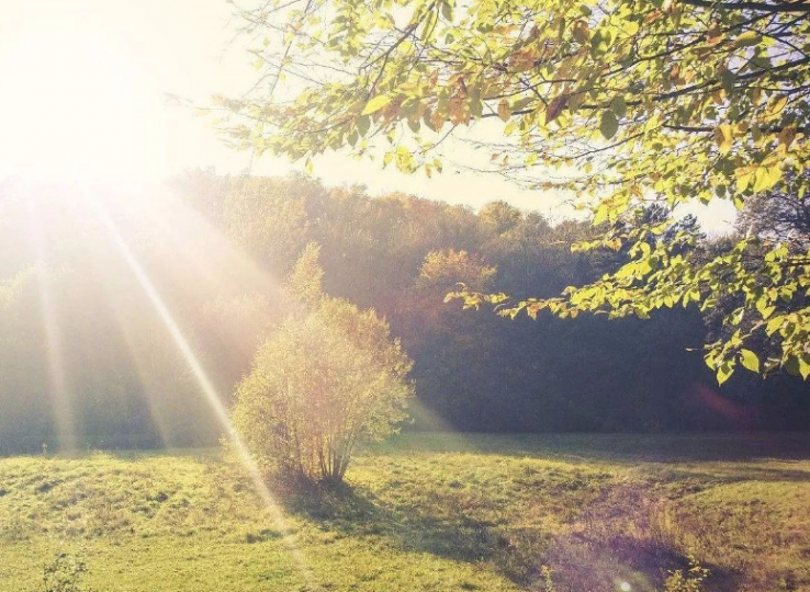 趁阳光正好 ，趁寒冷未来_知识产权零距离网（IP0.cn）