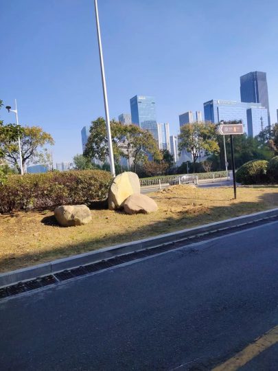 打卡耶路撒冷，重新开始_知识产权零距离网（IP0.cn）