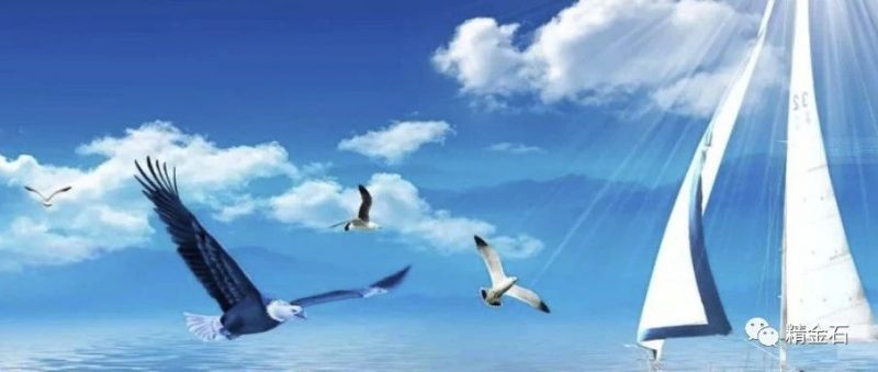 想明白了,决策就容易了 _知识产权零距离网(IP0.cn)