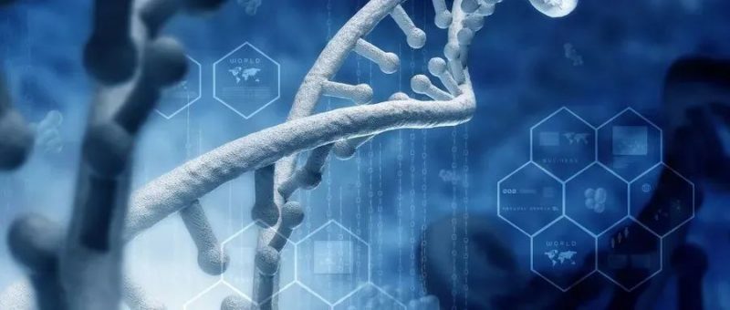 关于调整核苷酸或氨基酸序列表标准的解读_知识产权零距离网(IP0.cn)