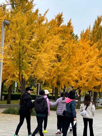 健康跑步，奔向美好未来——北京精金石10月团建_知识产权零距离网（IP0.cn）