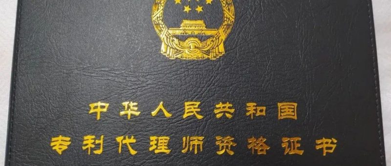 同比下跌16.5%!云南省2022年1-8月专利代理公开数量一览_知识产权零距离网(IP0.cn)