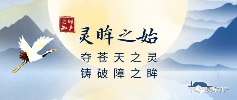 灵眸之始_知识产权零距离网(IP0.cn)