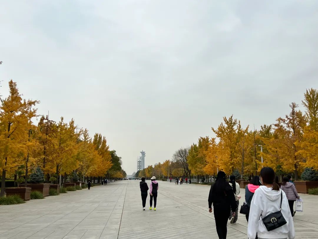 图片[6]_健康跑步，奔向美好未来——北京精金石10月团建_知识产权零距离网（IP0.cn）