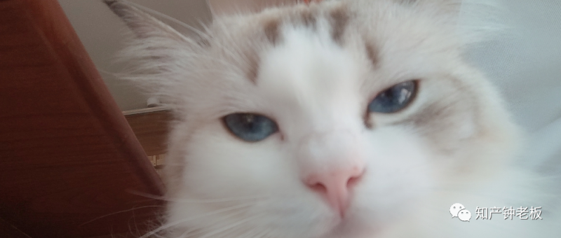 有趣,是针对无聊的蓄意谋杀_知识产权零距离网(IP0.cn)