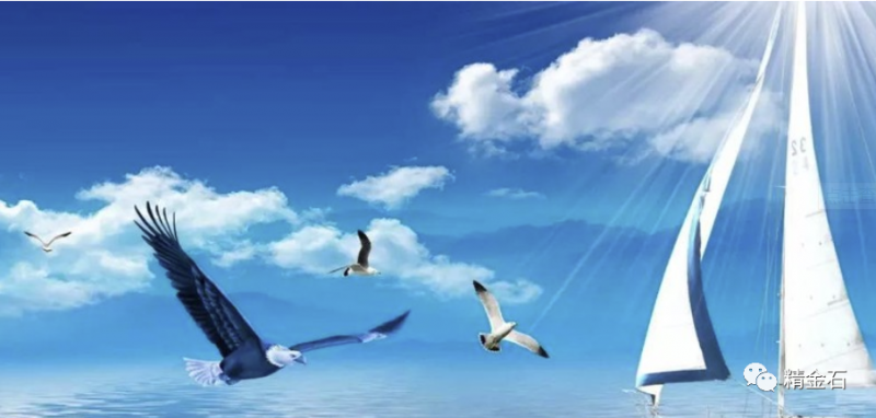 想明白了，决策就容易了 ​_知识产权零距离网（IP0.cn）