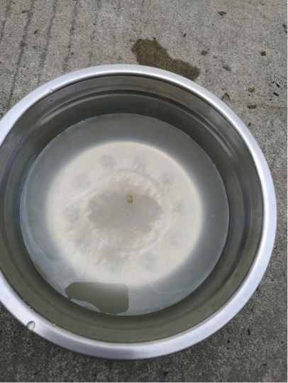 做专利真的辛苦吗?_知识产权零距离网(IP0.cn)