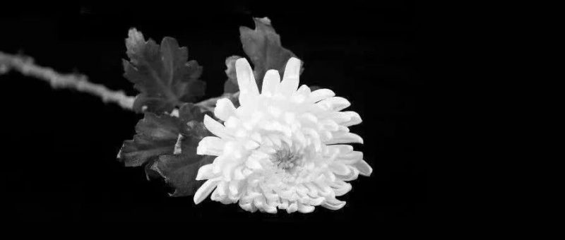 江泽民同志病重期间和逝世后　习近平等前往医院看望或以其他方式表示慰问_知识产权零距离网（IP0.cn）