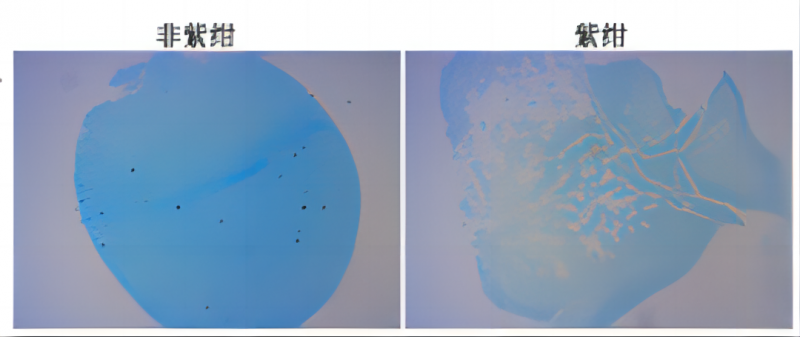 答复技巧——如何正确判定本申请实际解决的技术问题？_知识产权零距离网（IP0.cn）